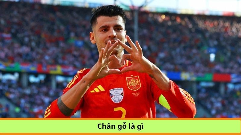 Chân gỗ là gì